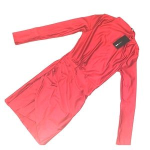 Shimmery form fitted red dress